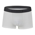 thumbnail image 1 of Gapacks Men's Striped Underwear - Nylon Spandex, Stretchy, Quick-Drying, Elastic Waistband - Size L, White, 1 Pack, Affordable Daily Casual, 1 of 2