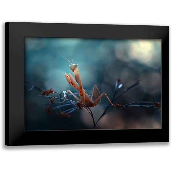 Gapur Dayak, Abdul 14x11 Black Modern Framed Museum Art Print Titled - Praying Mantis