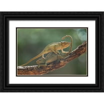 Gapur Dayak, Abdul 14x11 Black Ornate Wood Framed with Double Matting Museum Art Print Titled - I Am Sorry My Bro