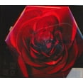 thumbnail image 1 of Garbage - Beautiful Garbage - CD, 1 of 4