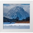 thumbnail image 1 of Garber, Howie 12x12 White Modern Wood Framed Museum Art Print Titled - Flock of Trumpeter swans swim at Oxbow Bend in front of Mount Moran-Grand Teton National Park, 1 of 4