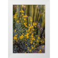 thumbnail image 1 of Garber, Howie 13x18 White Modern Wood Framed Museum Art Print Titled - Brittlebush wildflower and Organ Pipe Cactus-Desert Botanical Gardens-Phoenix-Arizona-USA, 1 of 4