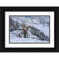 thumbnail image 1 of Garber, Howie 14x11 Black Ornate Wood Framed with Double Matting Museum Art Print Titled - Utah-Ancient Limber pine on ridge during winter Big Cottonwood Canyon near Salt Lake City and Alta, 1 of 4