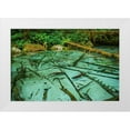 thumbnail image 1 of Garber, Howie 14x11 White Modern Wood Framed Museum Art Print Titled - Salmon spawning hole in forest near Haines-Alaska-Tongass National Forest, 1 of 4