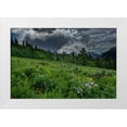thumbnail image 1 of Garber, Howie 14x11 White Modern Wood Framed Museum Art Print Titled - USA-Wyoming-Dramatic clouds and wildflowers in meadow west side of Teton Mountains, 1 of 4