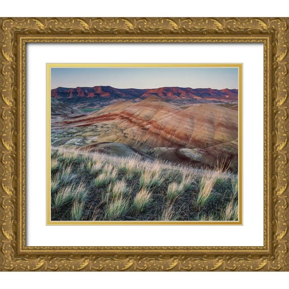 Garber, Howie 17x15 Gold Ornate Wood Framed with Double Matting Museum Art Print Titled - Painted Hills at John Day Fossil Beds National Monument-Oregon