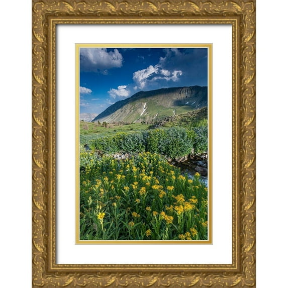 Garber, Howie 17x24 Gold Ornate Wood Framed with Double Matting Museum Art Print Titled - Arnica and bluebell wildflowers next to creek-Absaroka Mountains near Cody and Meeteetse-Wyoming