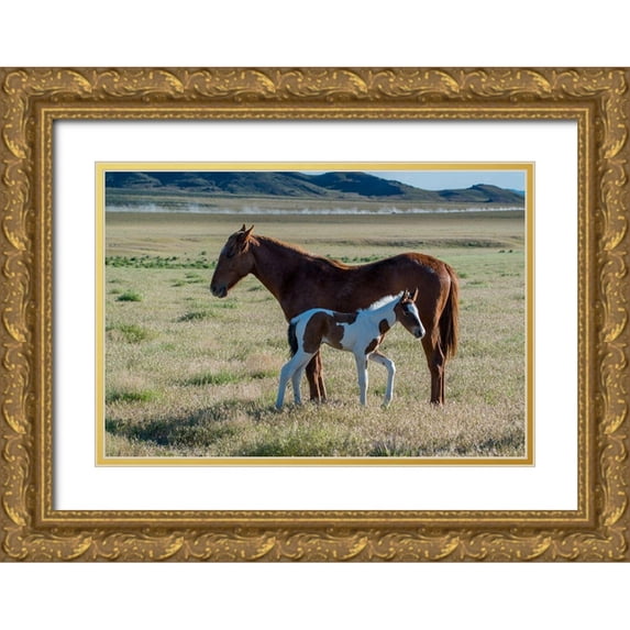 Garber, Howie 18x14 Gold Ornate Wood Framed with Double Matting Museum Art Print Titled - Wild horses-mother and yearling foal graze along Pony Express Byway