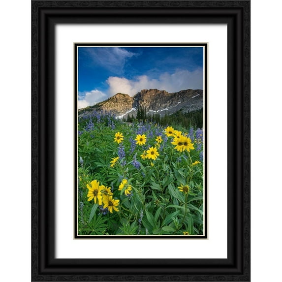Garber, Howie 23x32 Black Ornate Wood Framed with Double Matting Museum Art Print Titled - Arnica and lupine-Devils Castle-Albion Basin-Alta Ski Resort Wasatch Mountains