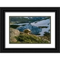 thumbnail image 1 of Garber, Howie 24x17 Black Ornate Wood Framed with Double Matting Museum Art Print Titled - Mountain goat walks near shore of partially frozen Summit Lake-Mount Evans-near Denver-Colorado-USA, 1 of 4
