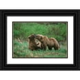 thumbnail image 1 of Garber, Howie 32x22 Black Ornate Wood Framed with Double Matting Museum Art Print Titled - Play behavior between Sow and Cub Brown Bear-McNeil River State Game Reserve-Alaska, 1 of 4