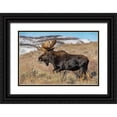 thumbnail image 1 of Garber, Howie 32x23 Black Ornate Wood Framed with Double Matting Museum Art Print Titled - Portrait of Bull moose in sagebrush-Grand Teton National Park-Wyoming, 1 of 4