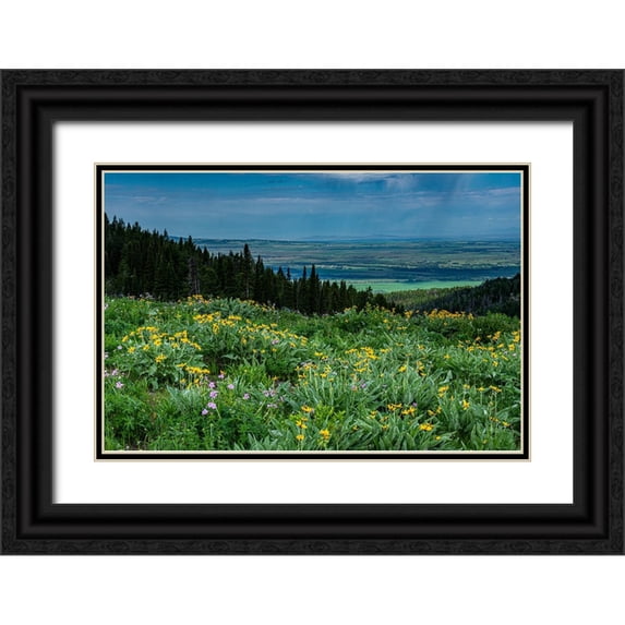 Garber, Howie 32x23 Black Ornate Wood Framed with Double Matting Museum Art Print Titled - USA-Wyoming-Wildflowers and view of Teton Valley-Idaho-summer-Caribou-Targhee National Forest