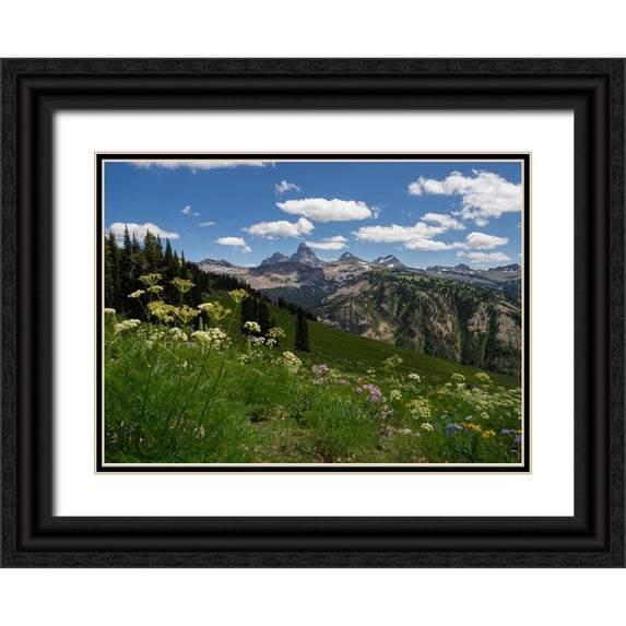 Garber, Howie 32x24 Black Ornate Wood Framed with Double Matting Museum Art Print Titled - USA-Wyoming-Meadow filled with wildflowers in front of Grand Teton-Teton Mountains from west in Jed