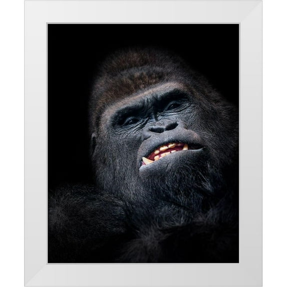 Garcia, Helena 15x18 White Modern Wood Framed Museum Art Print Titled - Gorilla Face Seen From Above