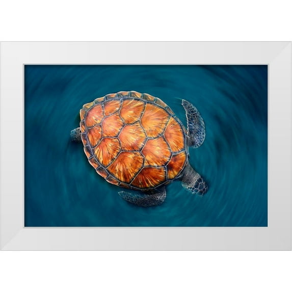 Garcia, Sergi 14x11 White Modern Wood Framed Museum Art Print Titled - Spin Turtle