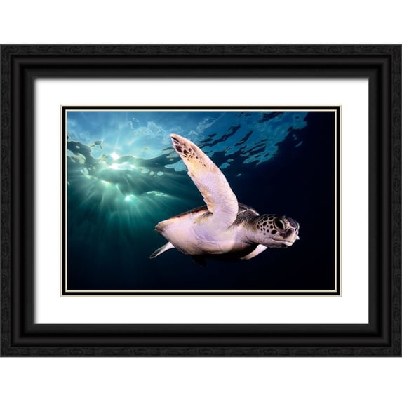 Garcia, Sergi 32x23 Black Ornate Wood Framed with Double Matting Museum Art Print Titled - Afternoon