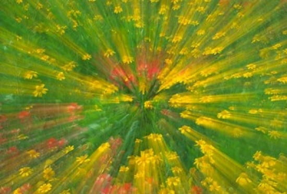 Garden Abstract Canvas Art - Jaynes Gallery DanitaDelimont (17 x 12)