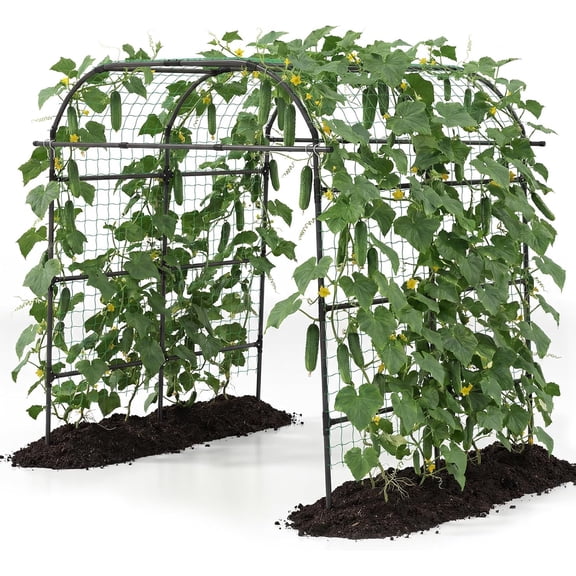 Garden Arch Trellis for Climbing Plants Outdoor, 79" x 59" x 78" Tall Grape Vine Support for Yard Lawn, Rustproof PE-Coated Metal Arbor Archway Pergola for Tomato Cucumber Vegetable Rose
