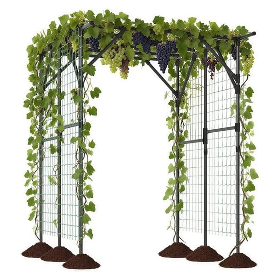 Garden Arch Trellis for Climbing Plants Outdoor, 79" x 59" x 78" Tall Grape Vine Support for Yard Lawn, Rustproof PE-Coated Metal Arbor Archway Pergola for Tomato Cucumber Vegetable Rose