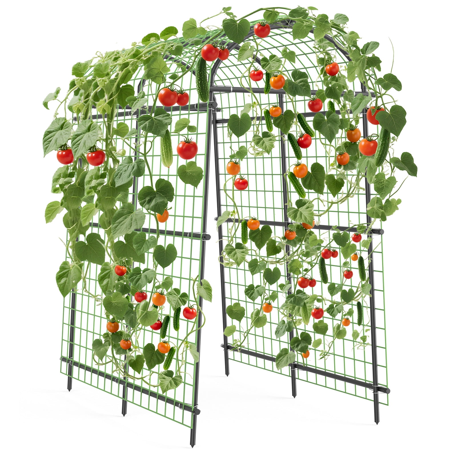 Garden Arch Trellis for Climbing Plants Outdoor, Metal Support Trellis Archway, Archway Tunnel Plant Support for Cucumber Tomato Vine Flowers Vegetables Climbing Plants