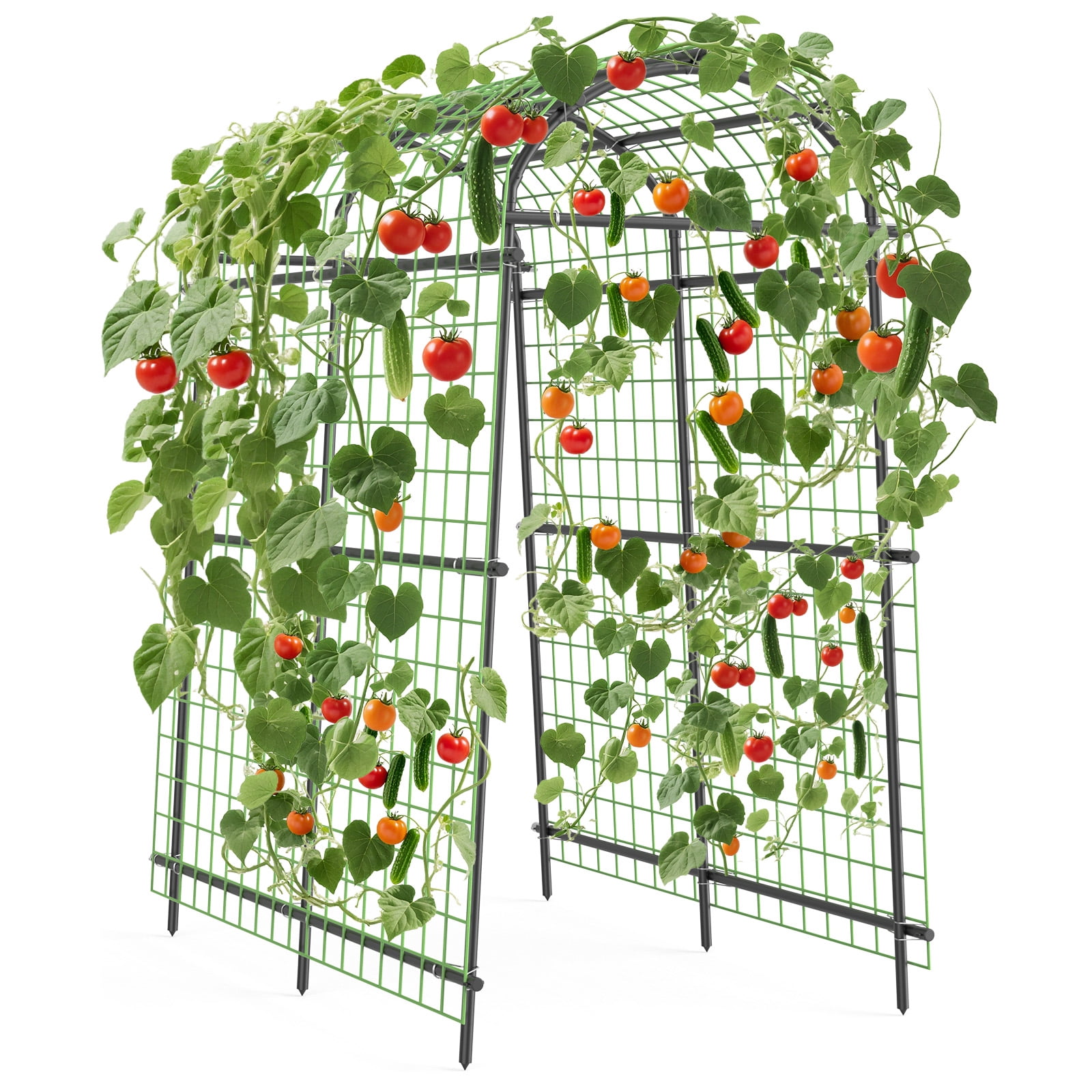 Garden Arch Trellis for Climbing Plants Outdoor, Metal Support Trellis Archway, Archway Tunnel Plant Support for Cucumber Tomato Vine Flowers Vegetables Climbing Plants