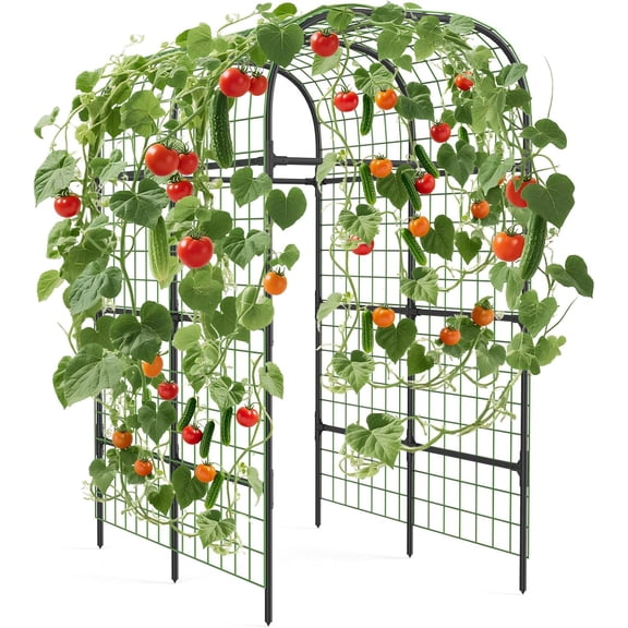 Garden Arch Trellis for Climbing Vegetables, Double Side Grid Metal Vine Support Tunnel Frame, Weather Resistant Plant Trellis for Tomato, Cucumber, Pea, Bean Raised Bed Backyard Gardening