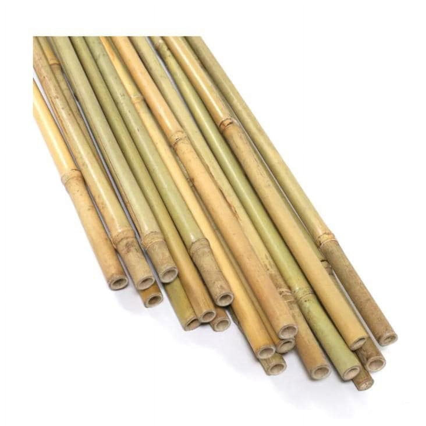 Garden Bamboo Stakes,10pack 3.5ft