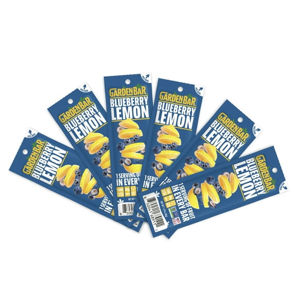 Garden Bar Blueberry Lemon Dehydrated Fruit Jerky 6 Count