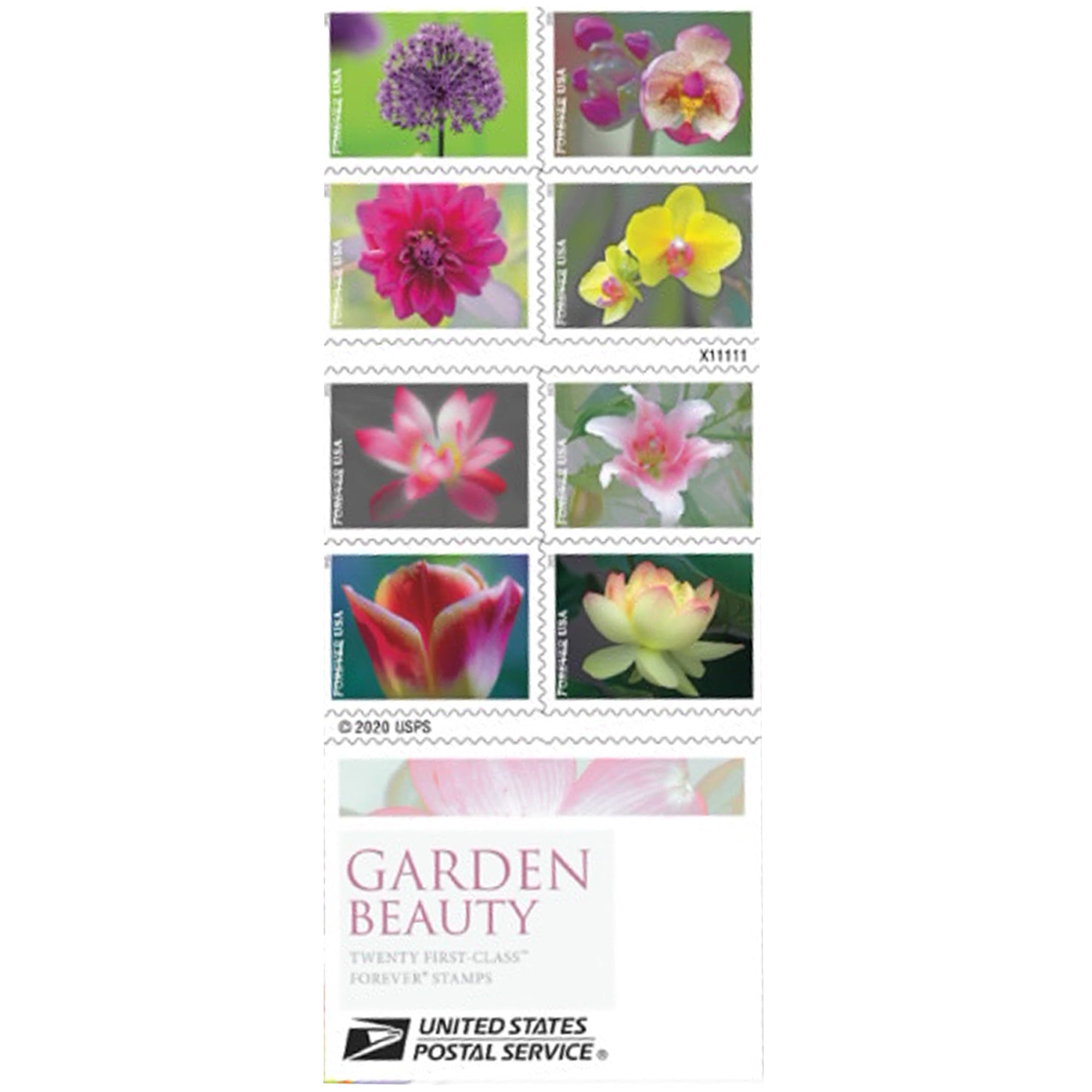 Mountain Flora Forever USPS Postage Stamp 5 Books Of 20 US Postal First  Class Wedding Celebration Anniversary Flower Party 100 Stamps From Clephan,  $6