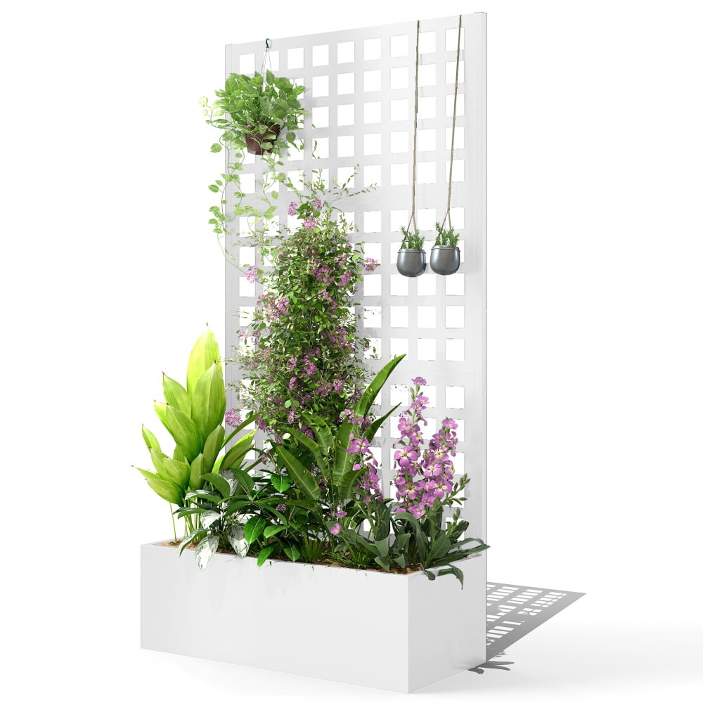 Garden Bed