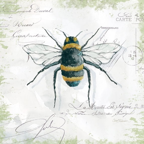 Garden Bee Poster Print by Carol Robinson