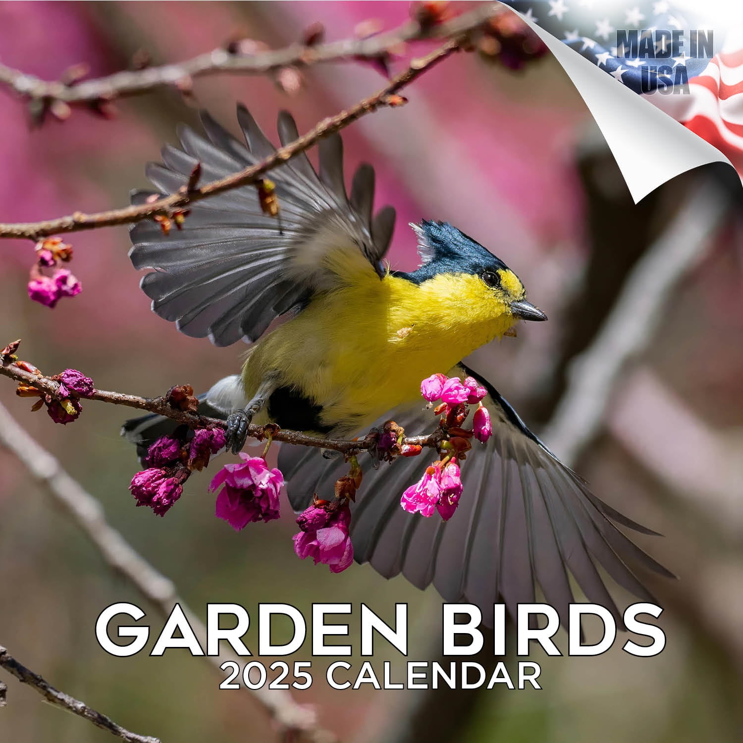 2024 2025 Garden Birds Calendar Wildlife Monthly Wall Calendar 12 x