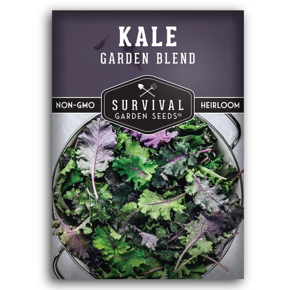 Garden Blend Kale Seeds - Biennial Full Sun Vegetable - 1 Pack