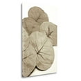 thumbnail image 1 of Garden Bloom - 14' Graphic Art Print on Wrapped Canvas, 1 of 2