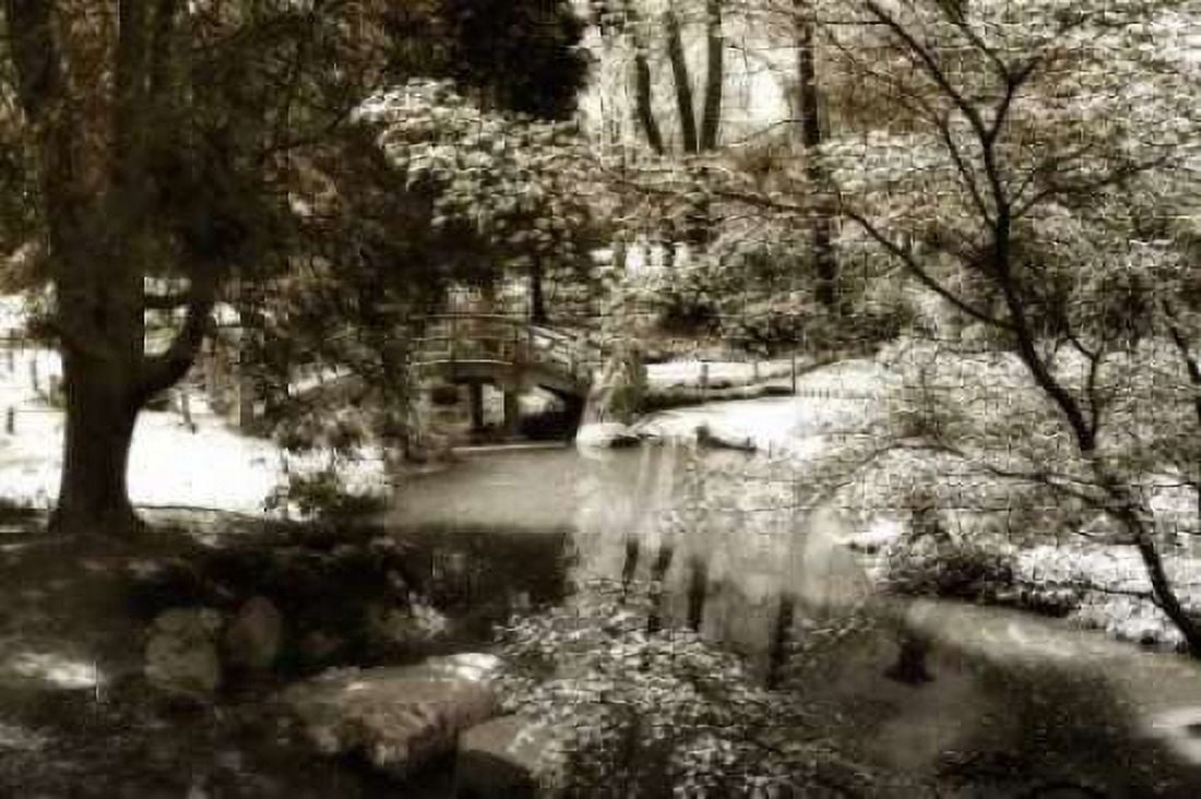 Garden Bridge I Canvas Art - Alan Hausenflock (20 x 28)