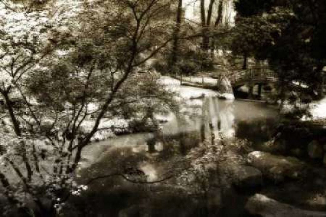 Garden Bridge II Canvas Art - Alan Hausenflock (20 x 28)