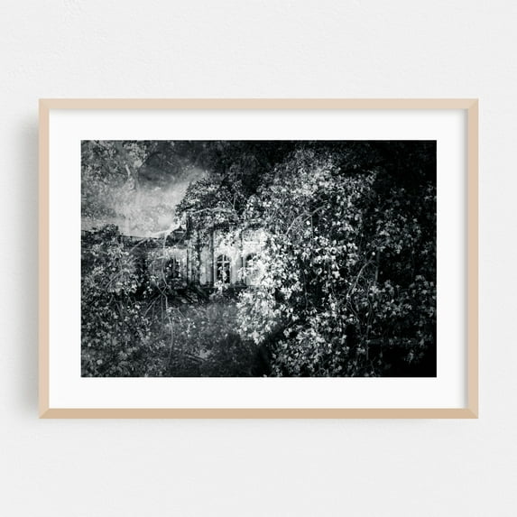 Garden Castle - Pillnitz Saxony Germany Photography Black and White Architecture Surrealism Nature Forest Vintage Abstract Oak Framed Wall Art Print 24 x 36 inches
