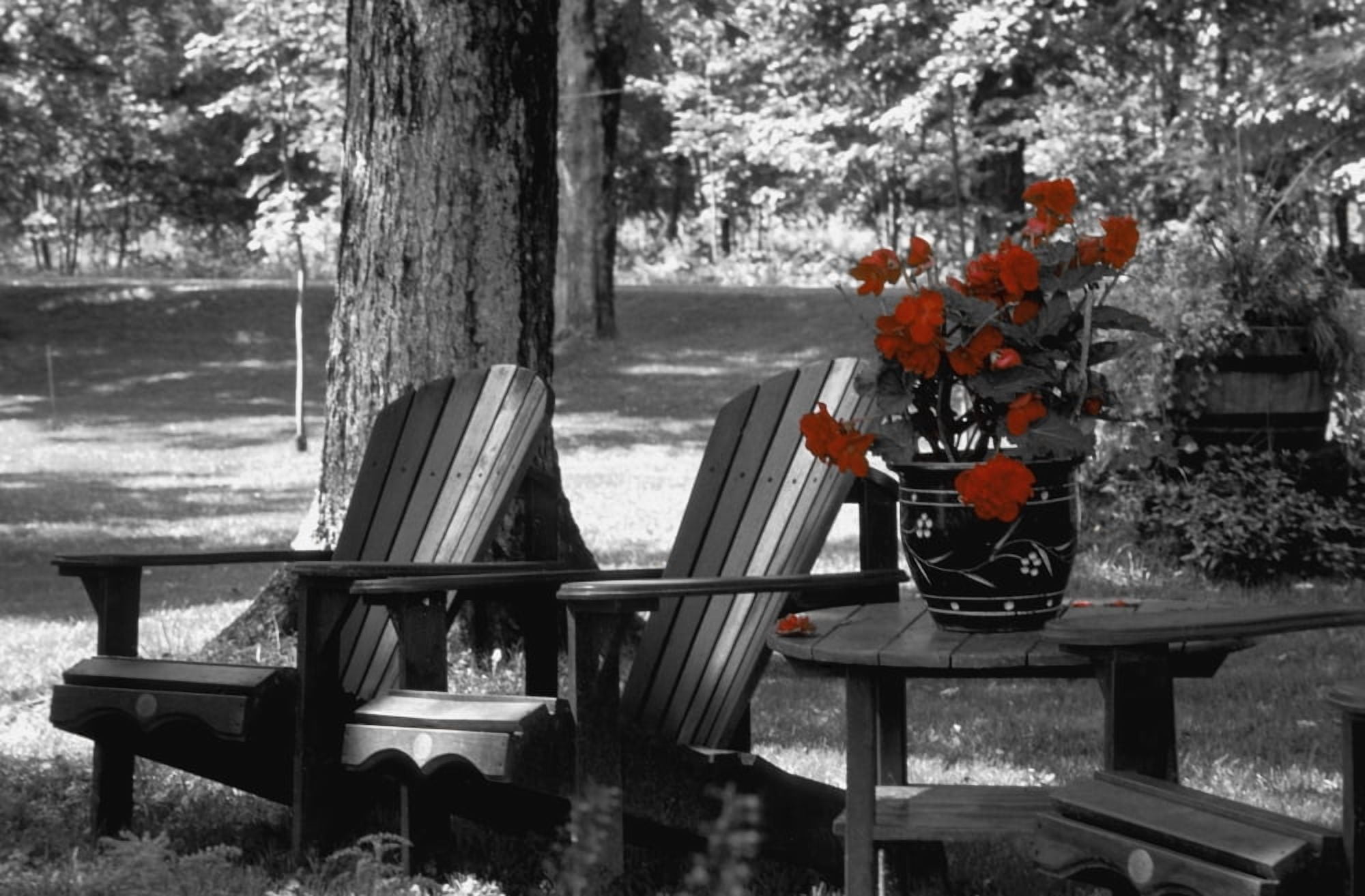 Garden Chairs With Red Flowers In A Pot Canvas Art - David Chapman  Design Pics (34 x 22)