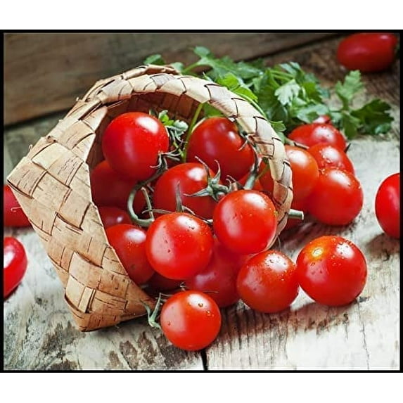 Garden Cherry Tomato Seeds for Planting - 300+ Seeds - Amazing Taste - Delicious Baby Tomatos