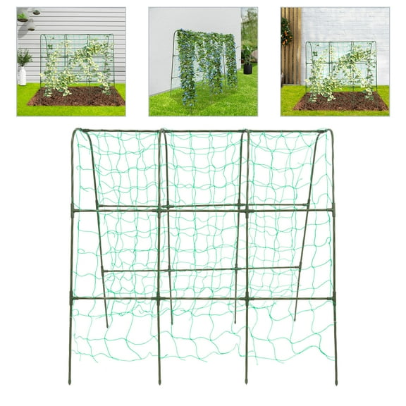 Garden Climbing Arch Trellis Steel Construction for Peas Cucumbers Squash Melons Vines Photography Background