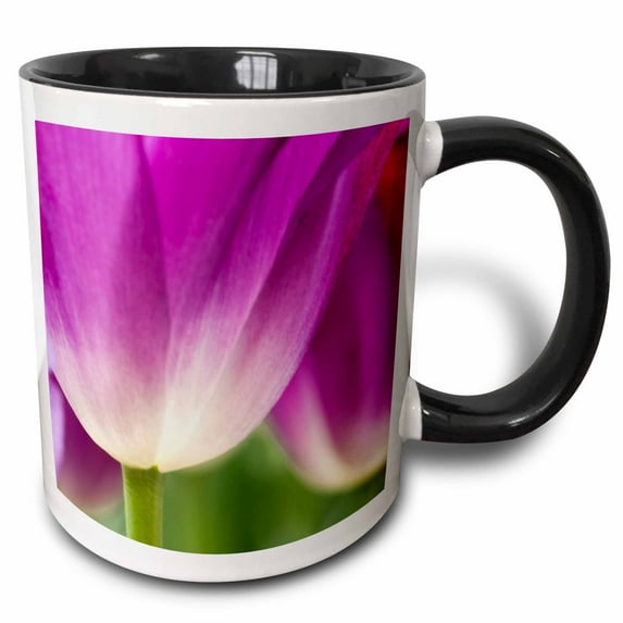 Garden - Close-up of tulips, Netherlands 15oz Two-Tone Black Mug mug-209417-9