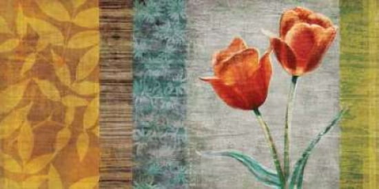 Garden Collection II Canvas Art - Tandi Venter (24 x 48)