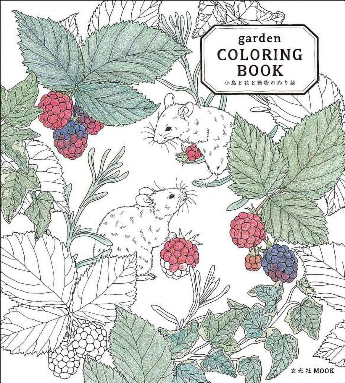 Garden Coloring Book (Paperback) - Walmart.com