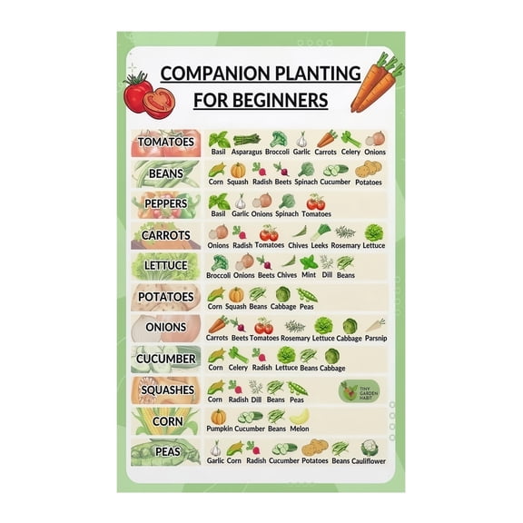 Garden Companion Planting Map Poster What to Plant Together Chart Informative Canvas Art for Shed Potting Bench Garden Decor