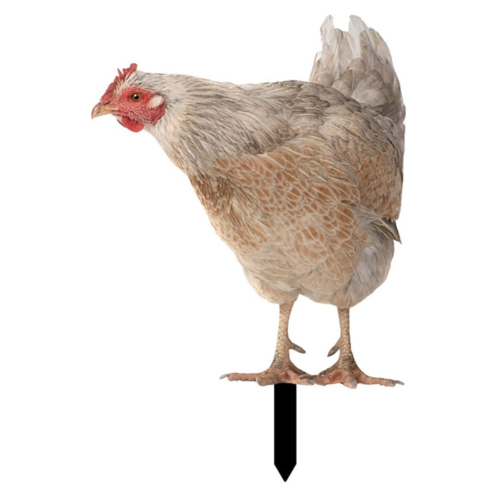 Garden Decoration Fun Plug In Hen Courtyard Plug In Yard Art Garden