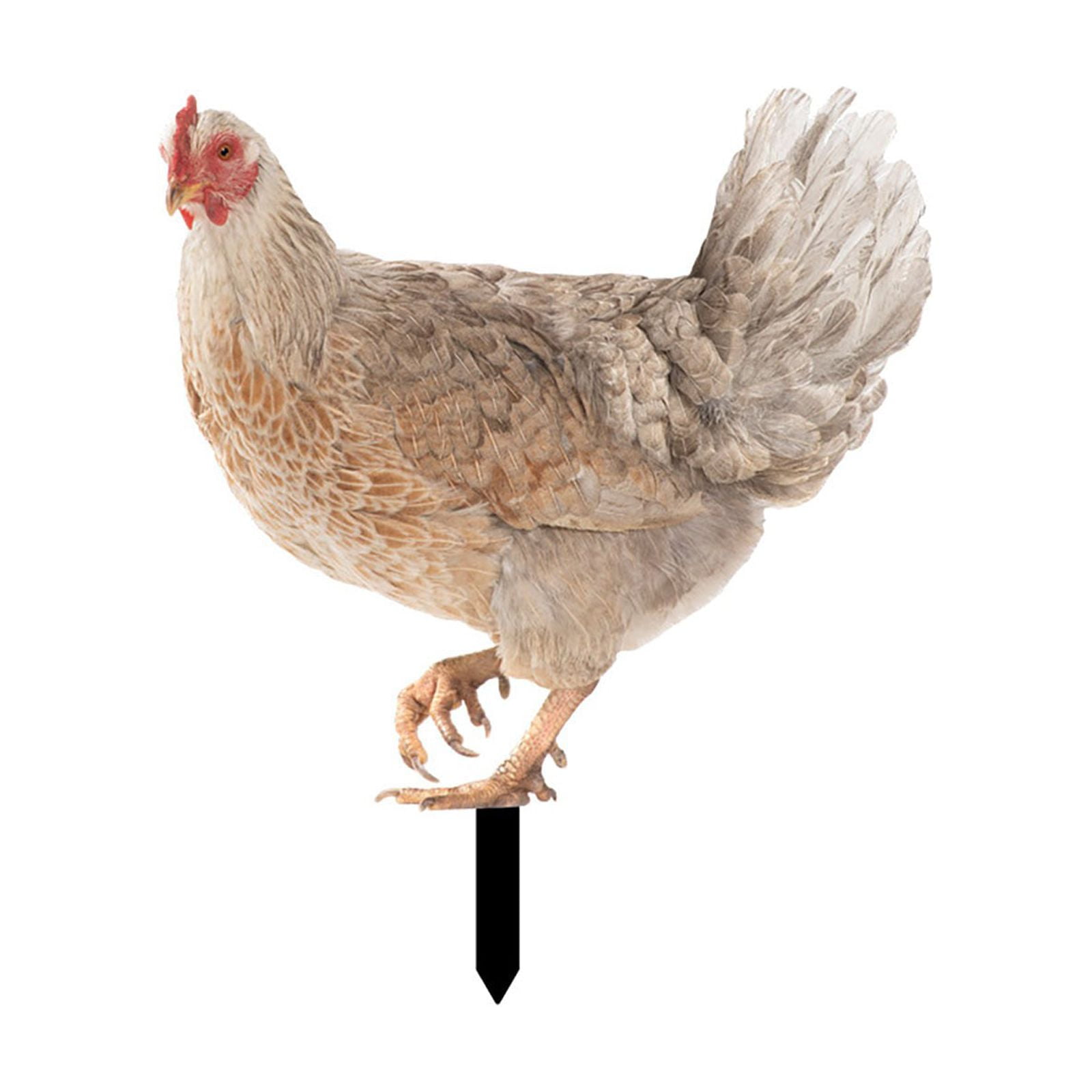 Garden Decoration Fun Plug In Hen Courtyard Plug In Yard Art Garden