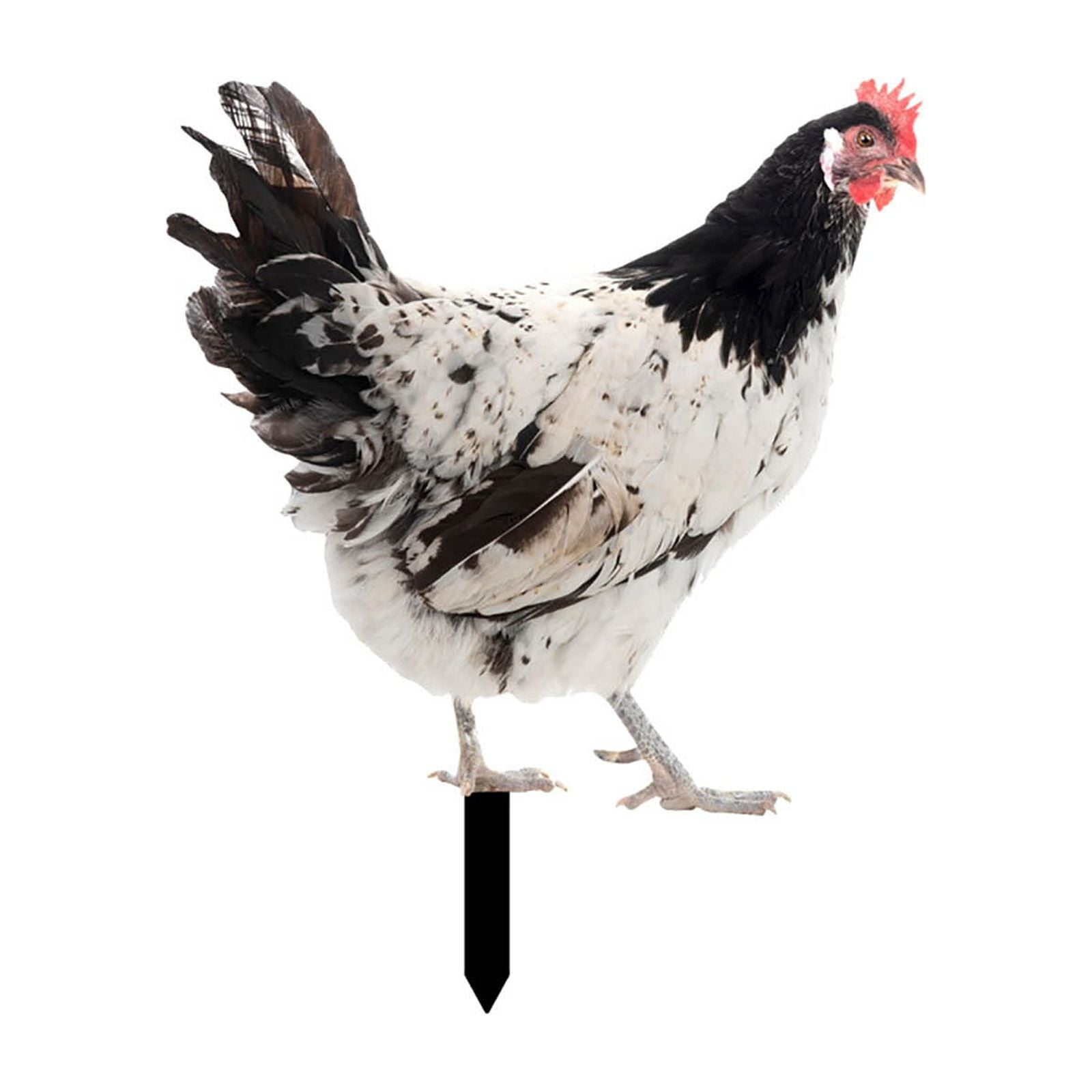 Garden Decoration Fun Plug In Rooster Hen Courtyard Plug In Yard Art