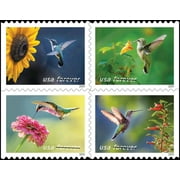 Garden Delights Booklet of 20 First-Class Mail Forever Postage Stamps 2024 Scott 5845-5848
