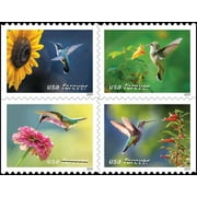 Garden Delights USPS Forever Postage Stamp 1 Book of 20 US First Class Celebrate Flower Summer Announcement Wedding Holiday (20 Stamps)
